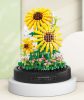 Balody Mini Blocks – Virágzó napraforgó Üvegbúrában (545db-os készlet)