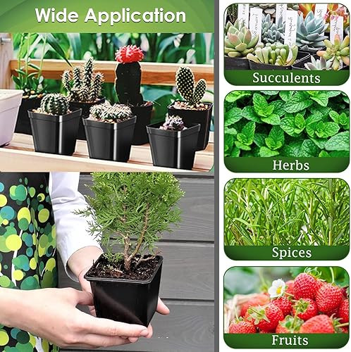 Műanyag Virágcserép 10 darabos szett , palántákra, szögletes, 6 x 6 x 5,5 cm