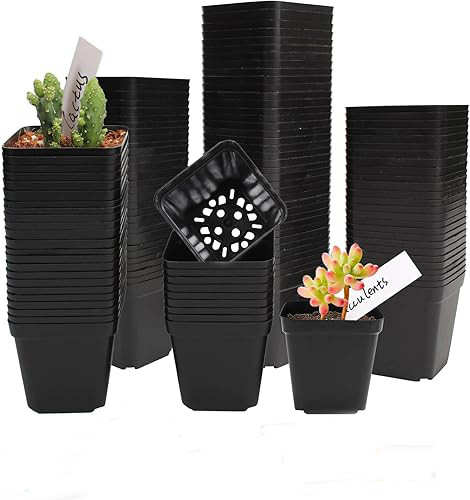 Műanyag Virágcserép 10 darabos szett , palántákra, szögletes, 6 x 6 x 5,5 cm